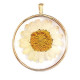 Pendant with dried flowers 35mm - Gold-white
